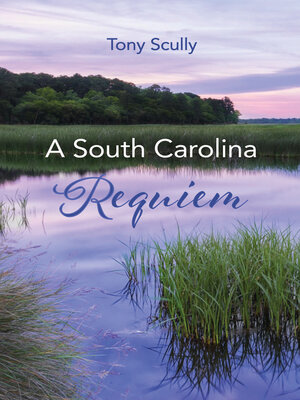 cover image of A South Carolina Requiem